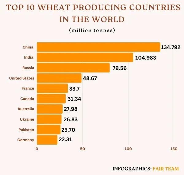 Top Ten Wheat Growers Globally